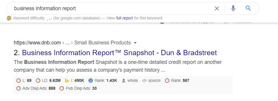 Business Information Report